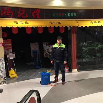 餐厅专业杀虫