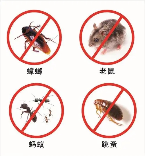 天津专业杀虫公司